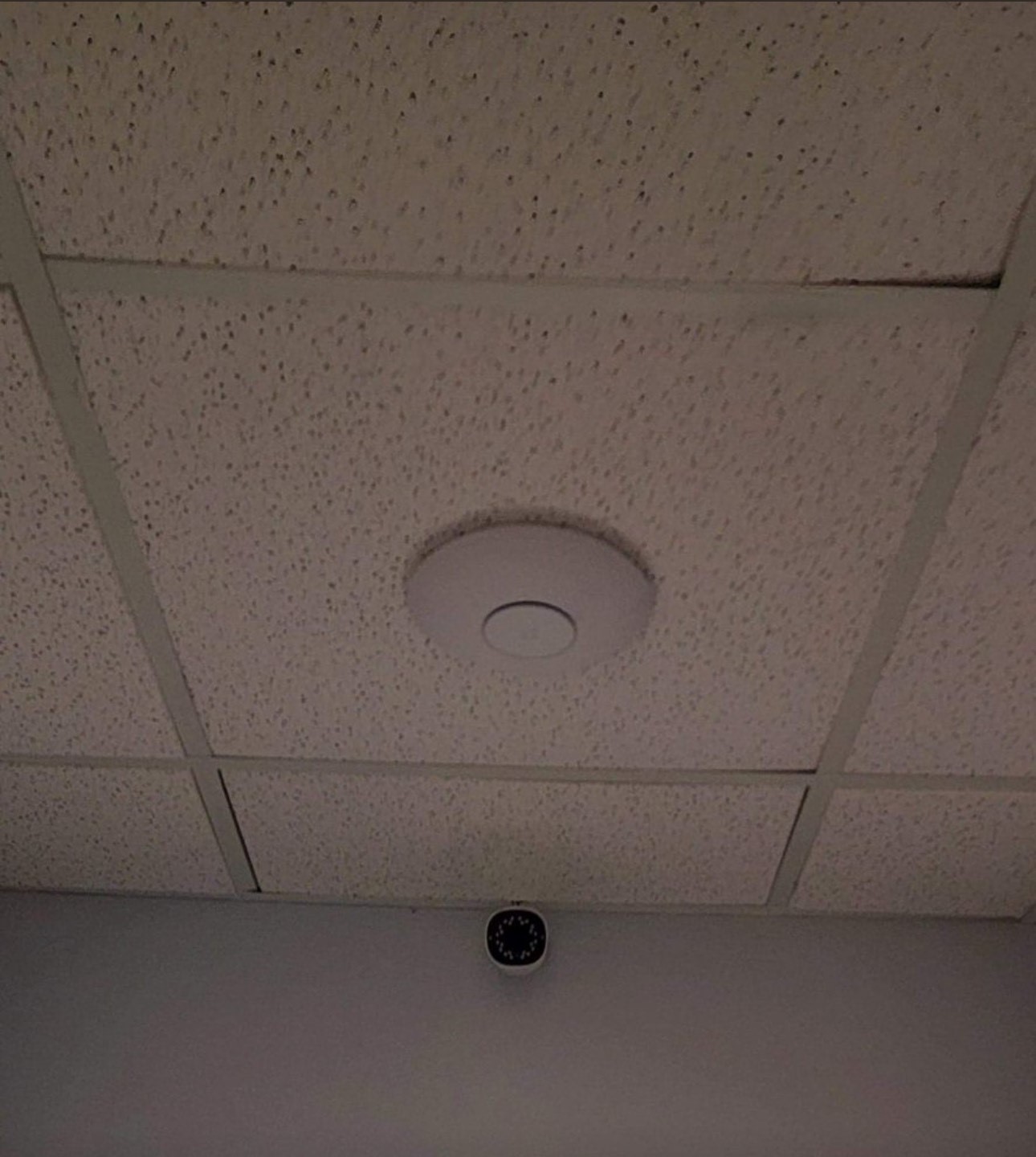 Image -5
